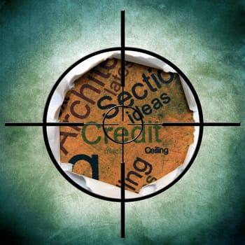 Credit target