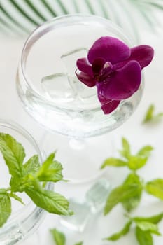 Transparent cocktail with ice in a champagne coupe glass decorated with purple orchid flowers and mint leaves close up. Tropical drink at the bar. Summer vacation mood