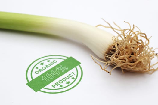 Organic spring onion