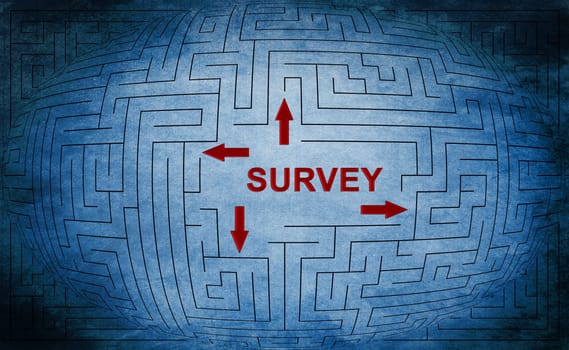 Survey maze concept