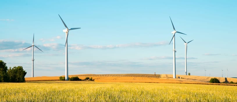 Windmills in a wheat field, renewable sustainable energy, electricity generator, environmental conversation