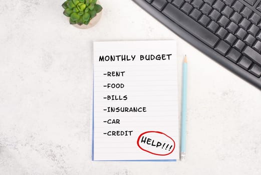 List with the monthly budget for rent, food, insurance, paying bills and credits, financial planning, calculate the expenses, increase of living costs by inflation
