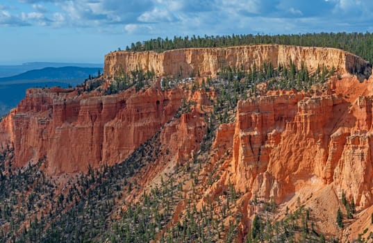 Eroded Red Cliffs in the Spring Sun in Bryce Canyon National Park in Utah