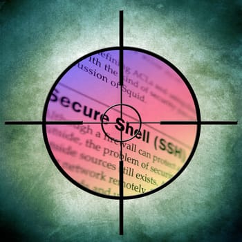 Web secure target