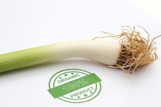 Organic spring onion