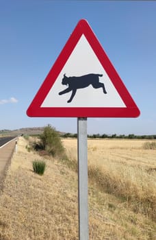 Metal pole with traffic signal warning iberian lynx crossing. Road–kills are considered a chief cause of death in the Iberian lynx