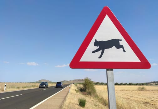 Metal pole with traffic signal warning iberian lynx crossing. Road–kills are considered a chief cause of death in the Iberian lynx