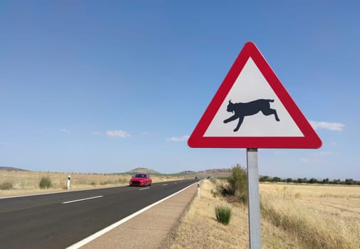 Metal pole with traffic signal warning iberian lynx crossing. Road–kills are considered a chief cause of death in the Iberian lynx