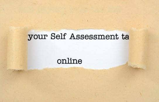 Self assessment online