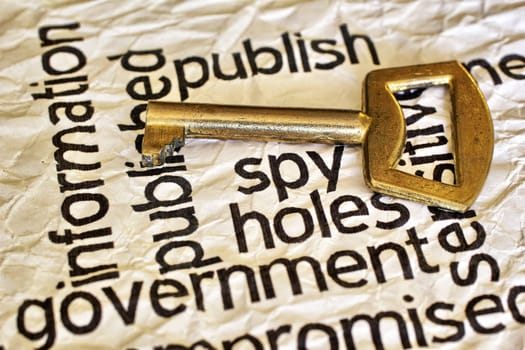 Publish spy key concept