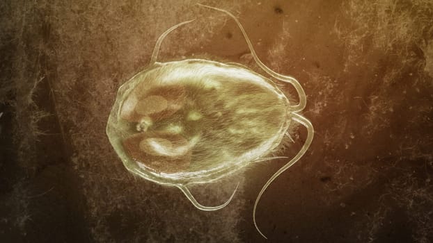 Giardia lamblia parasite as Closup - 3D Rendering. High quality Rendering