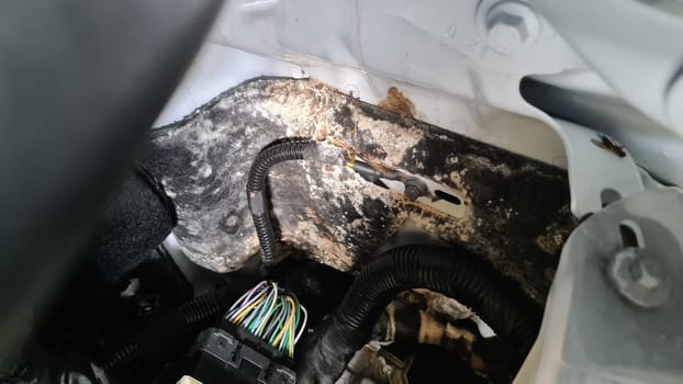 Mold in the engine compartment of a mobile home after a bad design of the drainage channel.Mold in the engine compartment of an RV