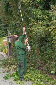 Cutting a hedge with a hedge trimmer motor.