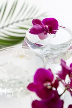 Transparent cocktail with ice in a champagne coupe glass decorated with purple orchid flowers close up. Tropical drink at the bar. Summer vacation mood