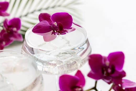 Transparent cocktail with ice in a champagne coupe glass decorated with purple orchid flowers close up. Tropical drink at the bar. Summer vacation mood
