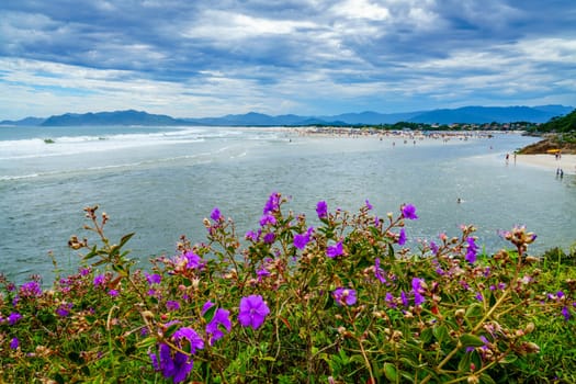 Scenic view of  Praia Guarda do Embau beach with wildflowers in the foreground