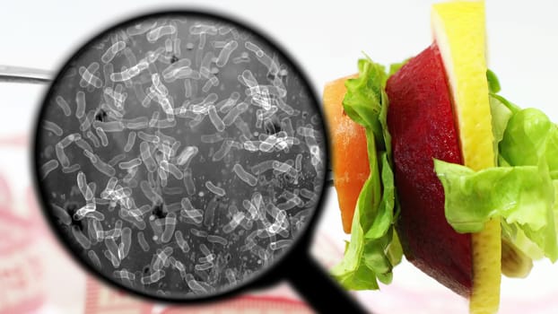 Searching for bacteria in vegetables,Searching for bacteria in vegetables