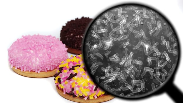 Searching for bacteria in sweets,Searching for bacteria in sweets