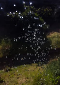 Sprinkler drops suspended in the air. High shutter speed shot