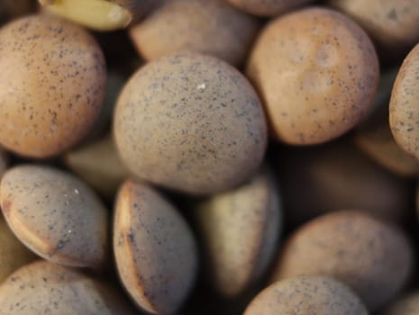 delicious lentils healthy natural legumes needed background