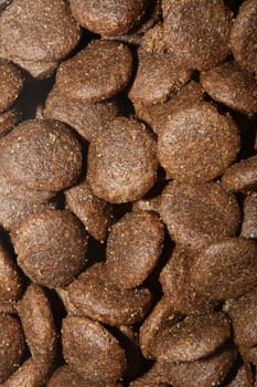 Dogs dry round food close up animals eating background high quality big size prints