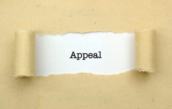 Appeal page concept