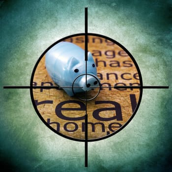 Piggy bank target