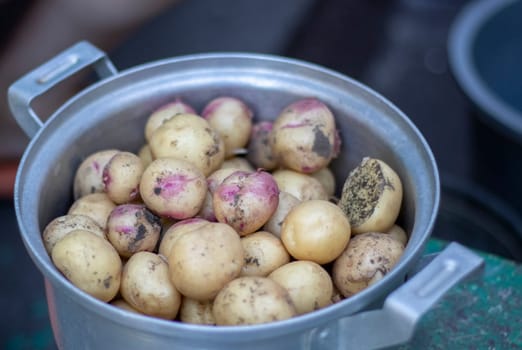 Stainless steel saucepan with raw new potatoes not peeled in selective focus. Close-up of yellow and red skinned potatoes. A pot in which potatoes have just been dug out, covered with earth
