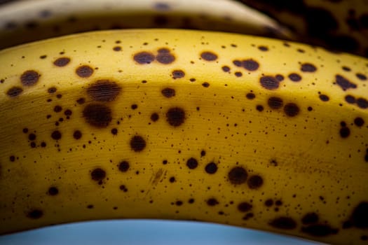 Closeup of banana ripening stage with spots, sweet flavor, perfect for blender drinks an baking