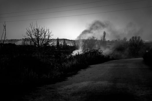 Detail of smoke from a fire in nature, destruction of the environment