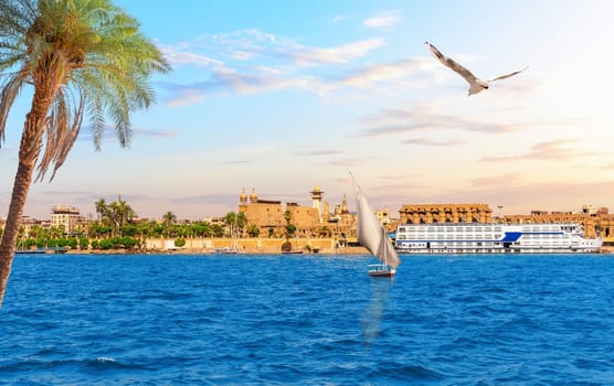 Luxor Temple on the bank of the Nile behind the palm tree, Upper Egypt.
