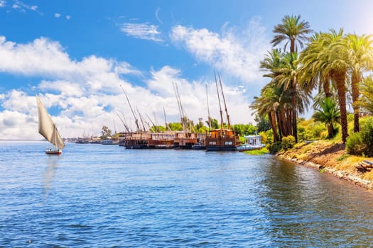 Nile cruise scenery, riverbank near Luxor, Upper Egypt.