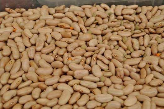 Pulses in a Portuguese market