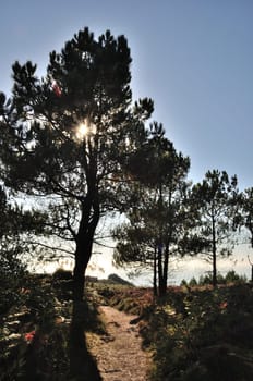 The Cap d'Erquy on the Brittany coast