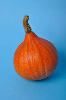 pumpkin on a blue background