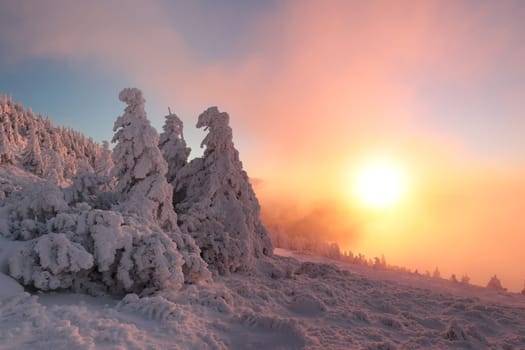 Winter scenery of the Sudetes Mountains on the Polish-Czech border during sunrise