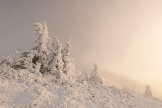 Winter scenery of the Sudetes Mountains on the Polish-Czech border during sunrise