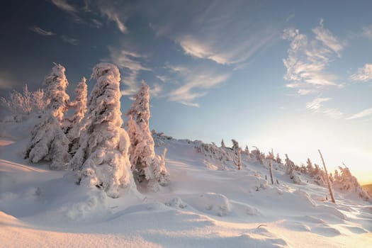 Winter scenery of the Sudetes Mountains on the Polish-Czech border during sunrise
