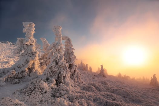 Winter scenery of the Sudetes Mountains on the Polish-Czech border during sunrise