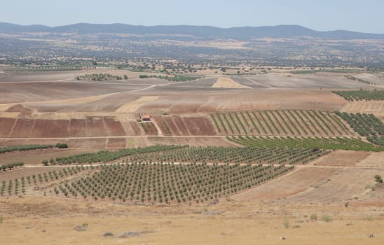 Overview of La Serena district from Magacela Castle, Badajoz, Extremadura, Spain