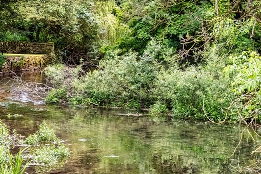 River Coln - Bibury, Gloucestershire, United Kingdom