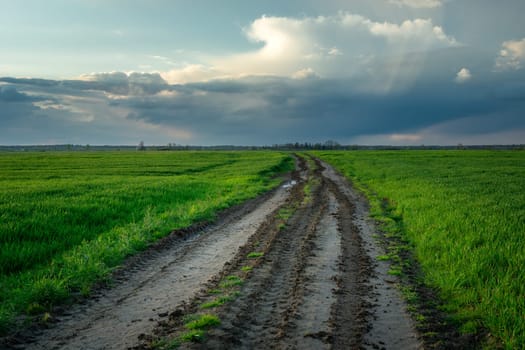 Muddy road through green fields and cloud on the sky, Czulczyce, Poland