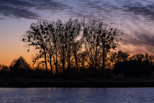 Tall trees above the water and clouds after sunset, Stankow, Poland