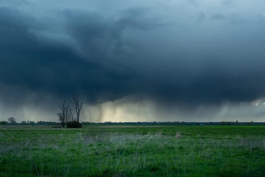 Cloud with rain over the meadow and lonely trees, Czulczyce, Poland
