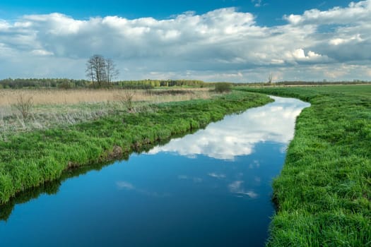 A calm little river and wild meadows, Czulczyce, Poland