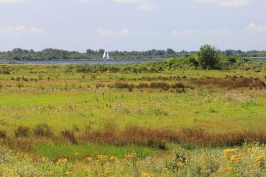 A natural landscape on the North Sea coast in the Netherlands.Eine Naturlandschaft an der Nordseeküste in den Niederlanden.