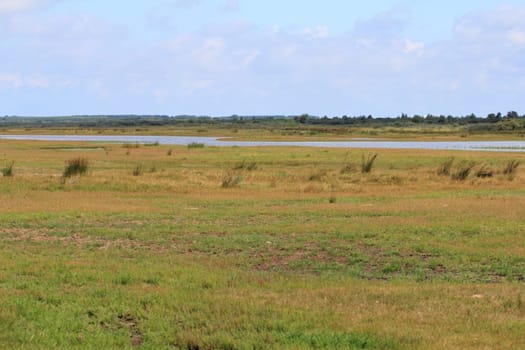 A natural landscape on the North Sea coast in the Netherlands.Eine Naturlandschaft an der Nordseeküste in den Niederlanden.