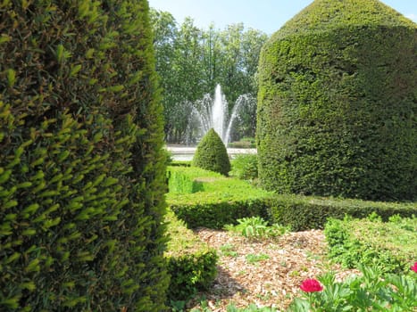 beautiful landscape of well-kept gardens with worked hedges