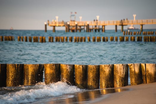 Breakwater polls on the beach of Kühlungsborn baltic sea