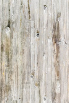 Light wood panel. Ideal for texture and background.